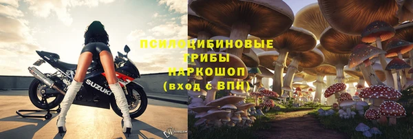 альфа пвп Бородино