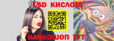 СК Вязьма