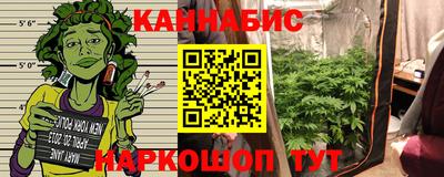 СК Вязьма