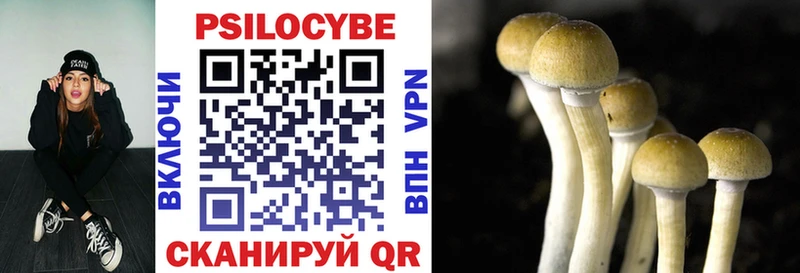 Галлюциногенные грибы прущие грибы  Белгород 