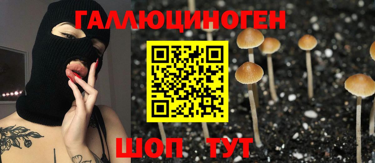 Псилоцибиновые грибы мицелий  Белгород 